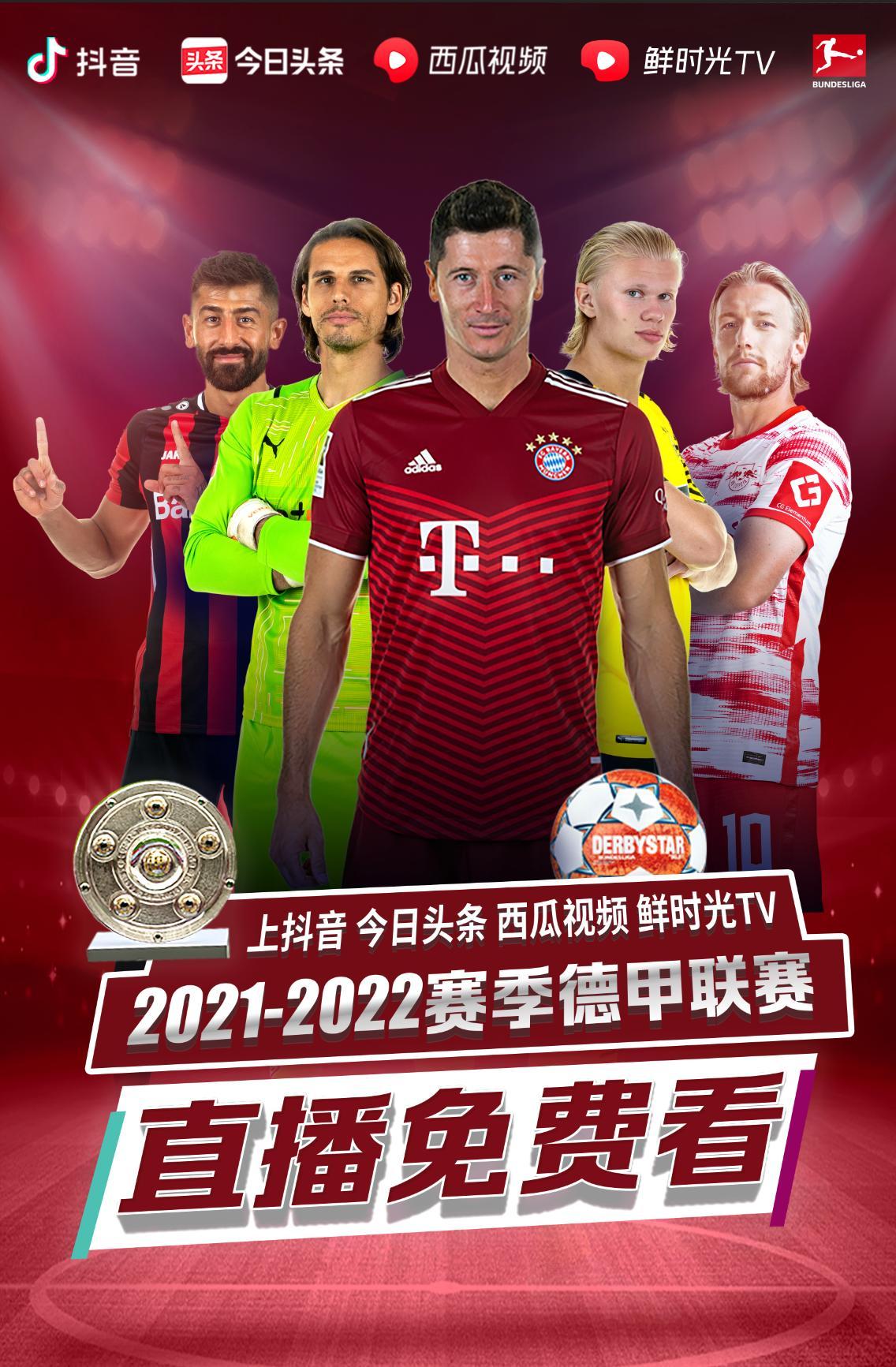 平替对